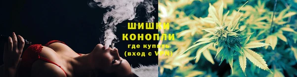 мдпв Магас
