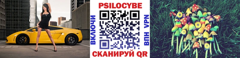 купить наркоту  Химки  Галлюциногенные грибы Psilocybine cubensis 