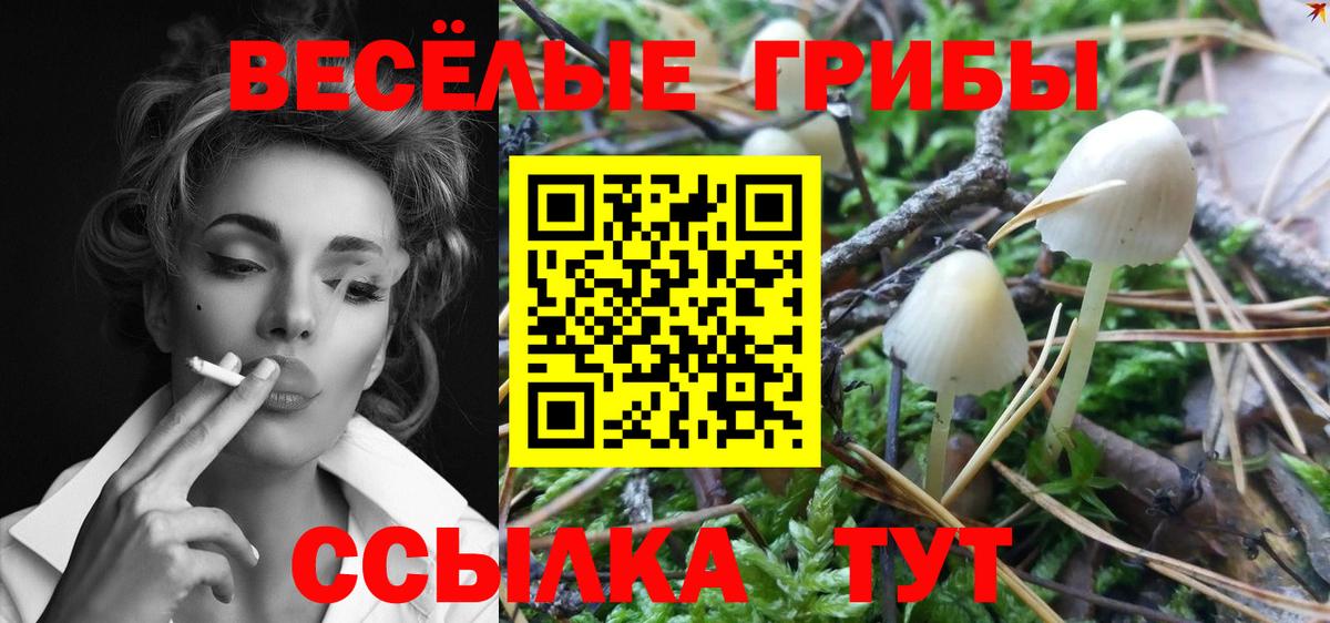 Галлюциногенные грибы мицелий  Вход с VPN  Химки  Галлюциногенные грибы MAGIC MUSHROOMS 